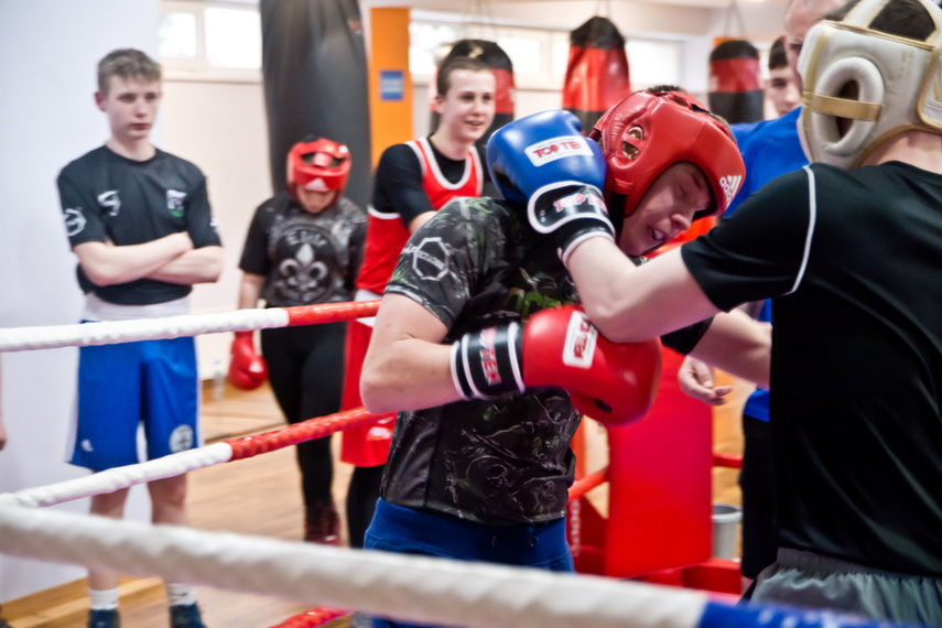 Tygrysy w ringu zdjęcie nr 259011