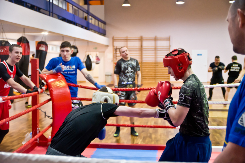 Tygrysy w ringu zdjęcie nr 259008