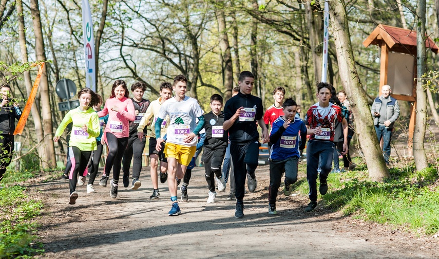 Długodystansowo po Wysoczyźnie Elbląskiej zdjęcie nr 259297