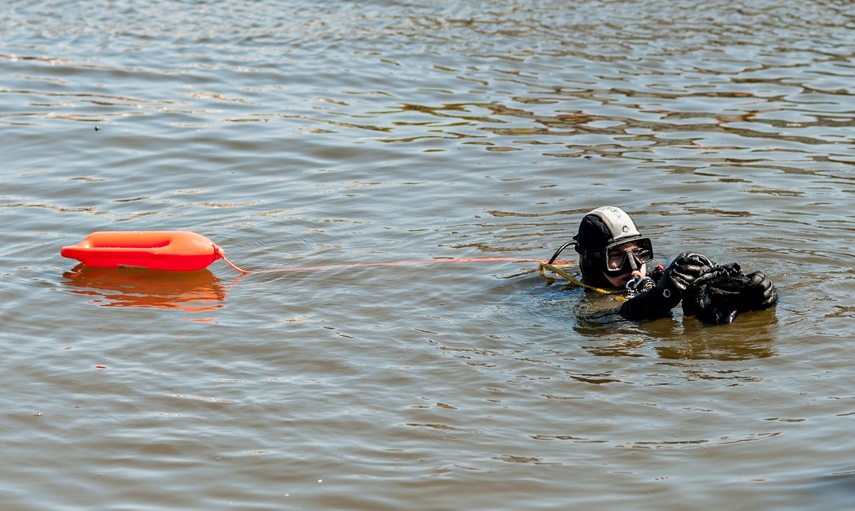 Fosa na wysoki połysk zdjęcie nr 259854