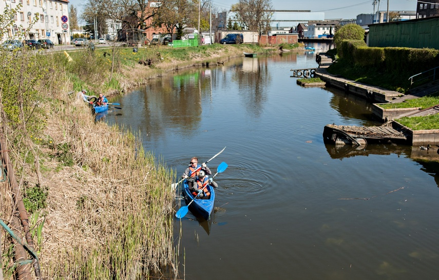 Fosa na wysoki połysk zdjęcie nr 259836