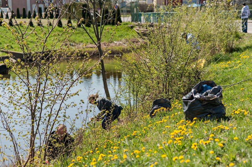 Fosa na wysoki połysk zdjęcie nr 259831