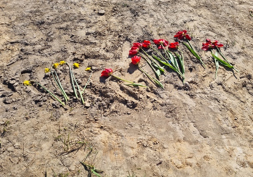 Elbląg Senator otrzymuje groźby za pomoc Ukrainie