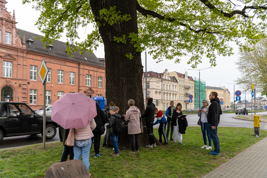 Miejskie granie zdjęcie nr 260447
