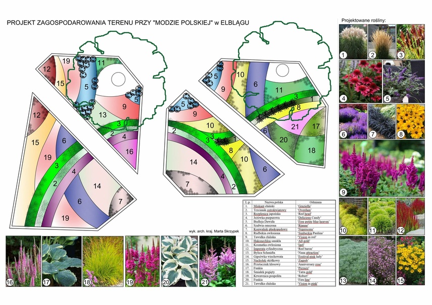 Elbląg Jubileusz i abstrakcja na elbląskich kwietnikach