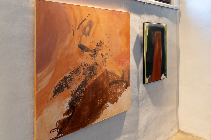 Potrzebujemy kolorów w naszej rzeczywistości zdjęcie nr 260514