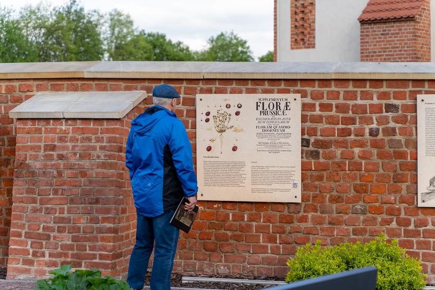 Zanurkować w muzeum zdjęcie nr 260732