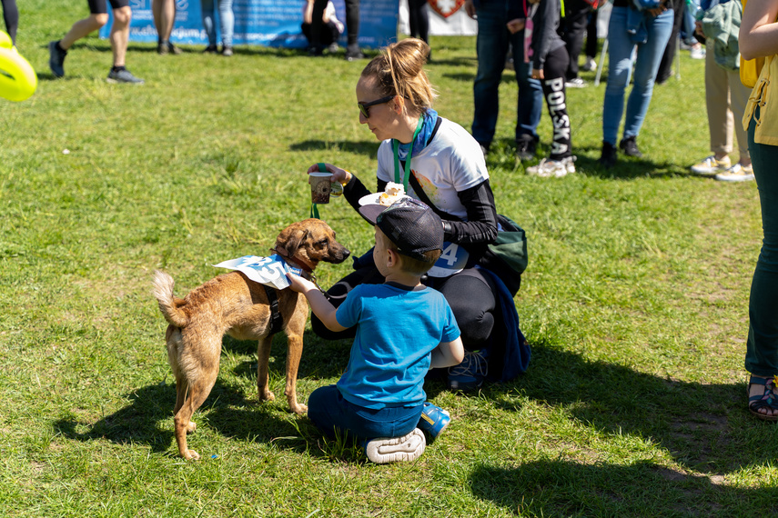 Hospicjum może liczyć na biegaczy zdjęcie nr 260774