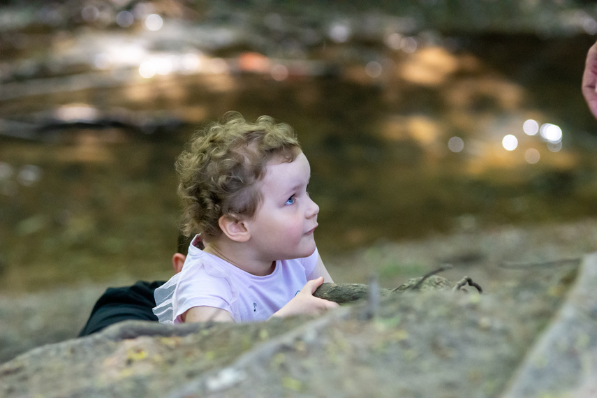 Hospicjum może liczyć na biegaczy zdjęcie nr 260802
