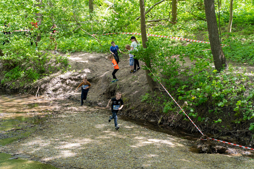 Hospicjum może liczyć na biegaczy zdjęcie nr 260788