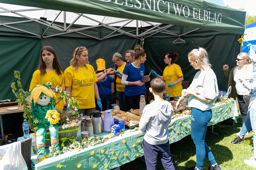 Hospicjum może liczyć na biegaczy zdjęcie nr 260772