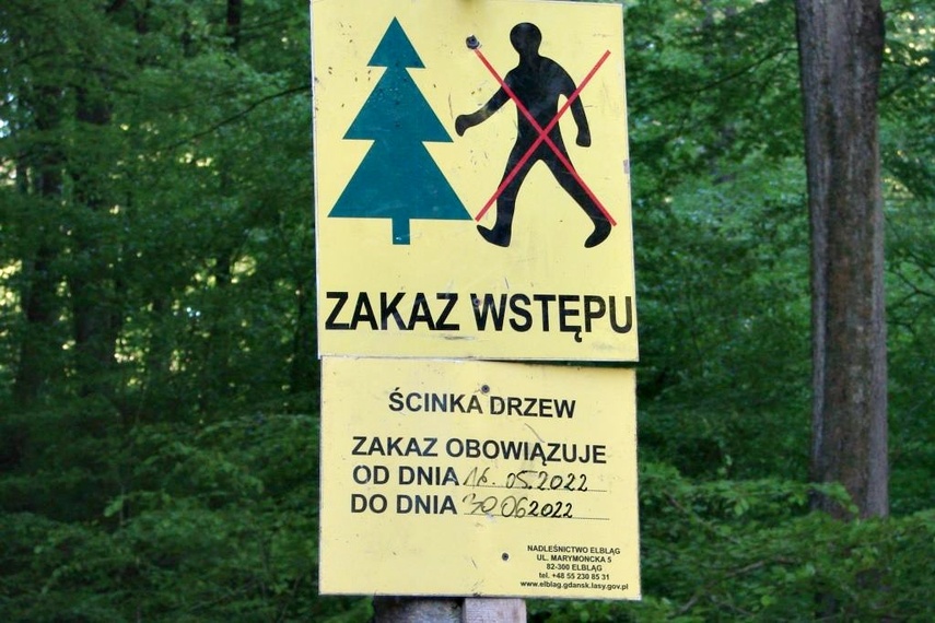 Elbląg To teren chroniony. Należy natychmiast wstrzymać wycinkę