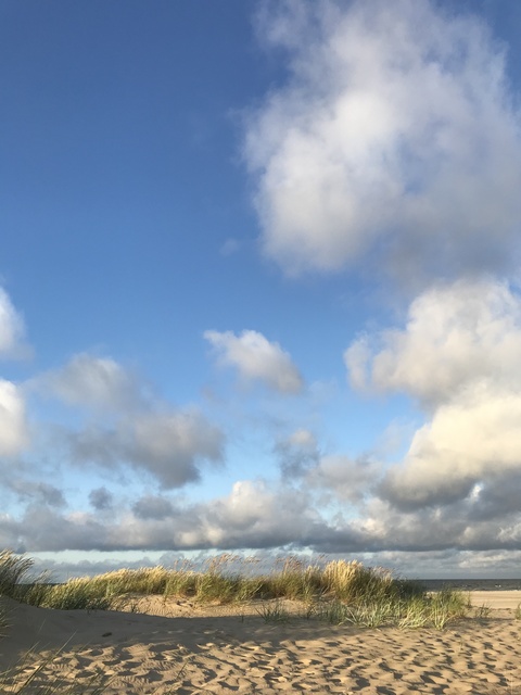 Elbląg Odkrywanie Kadyn