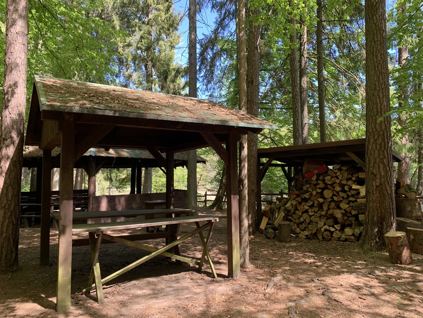 Piórkowo. W poznawaniu “Leśnej Prawdy” zdjęcie nr 261489