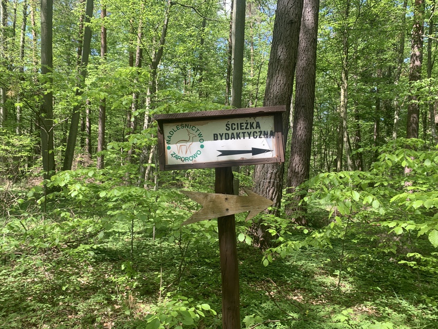 ścieżka edukacyjna jest dobrze oznakowana