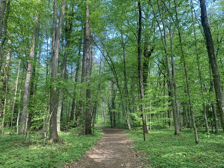 ścieżka edukacyjna w Piórkowie