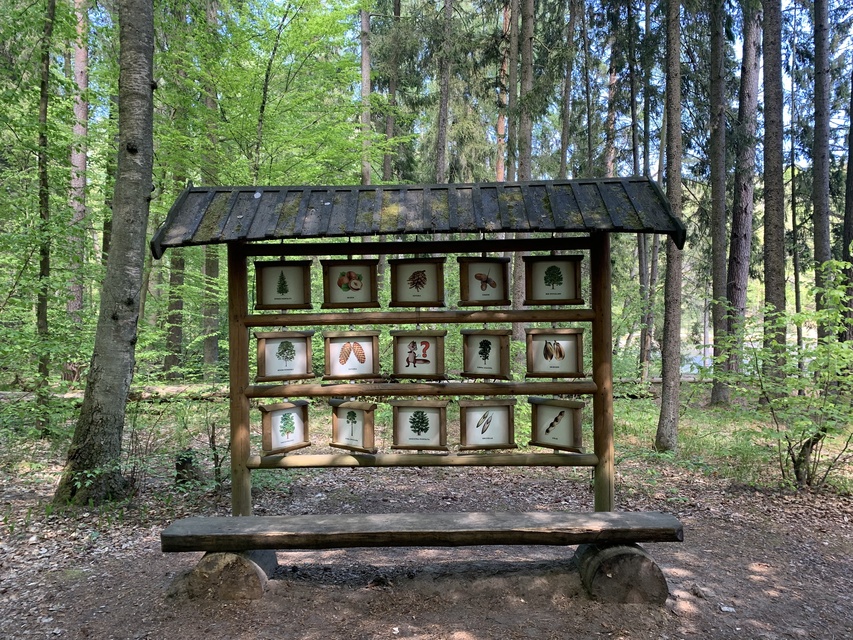 Elbląg Piórkowo. W poznawaniu “Leśnej Prawdy”