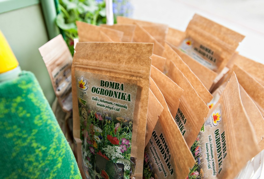 "Tramwaj zielony przez ulice mego miasta mknie... zdjęcie nr 262245