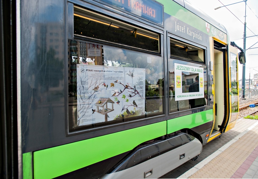 "Tramwaj zielony przez ulice mego miasta mknie... zdjęcie nr 262265