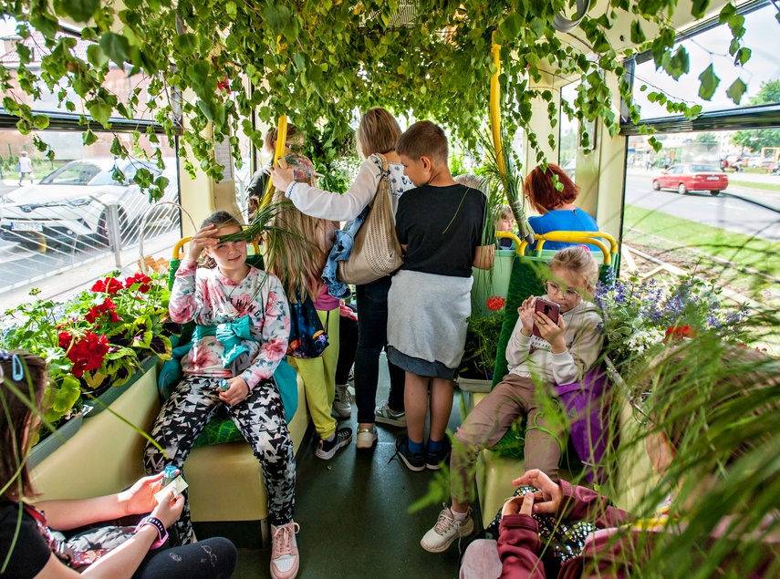 "Tramwaj zielony przez ulice mego miasta mknie... zdjęcie nr 262253