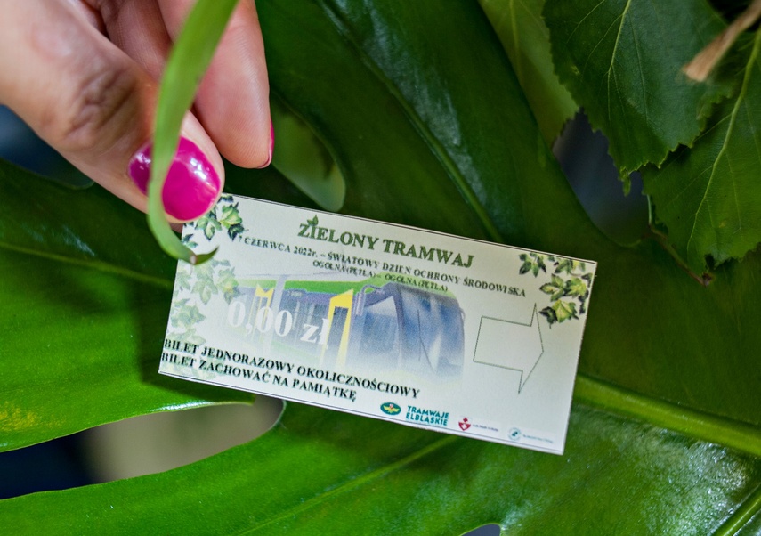 "Tramwaj zielony przez ulice mego miasta mknie... zdjęcie nr 262249