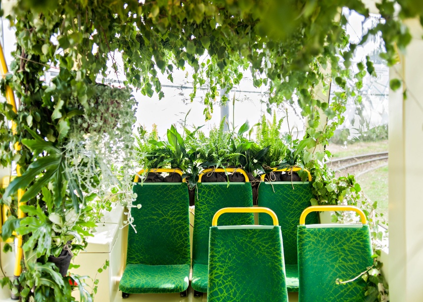 "Tramwaj zielony przez ulice mego miasta mknie... zdjęcie nr 262257