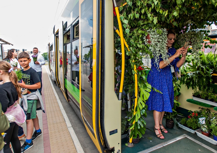 "Tramwaj zielony przez ulice mego miasta mknie... zdjęcie nr 262264