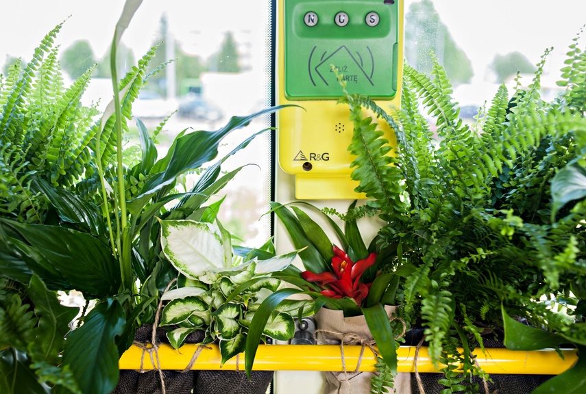 "Tramwaj zielony przez ulice mego miasta mknie... zdjęcie nr 262256