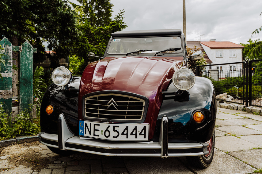 Andrzej Rybicki: Nie przesadzać z prędkością zdjęcie nr 262785