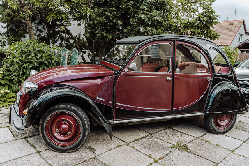 Andrzej Rybicki: Nie przesadzać z prędkością zdjęcie nr 262790