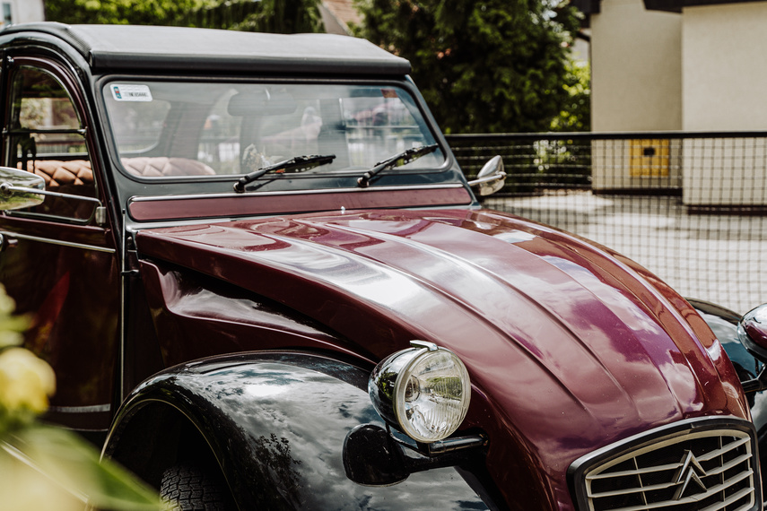 Andrzej Rybicki: Nie przesadzać z prędkością zdjęcie nr 262797