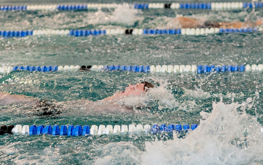 Całe życie w wodzie zdjęcie nr 263252