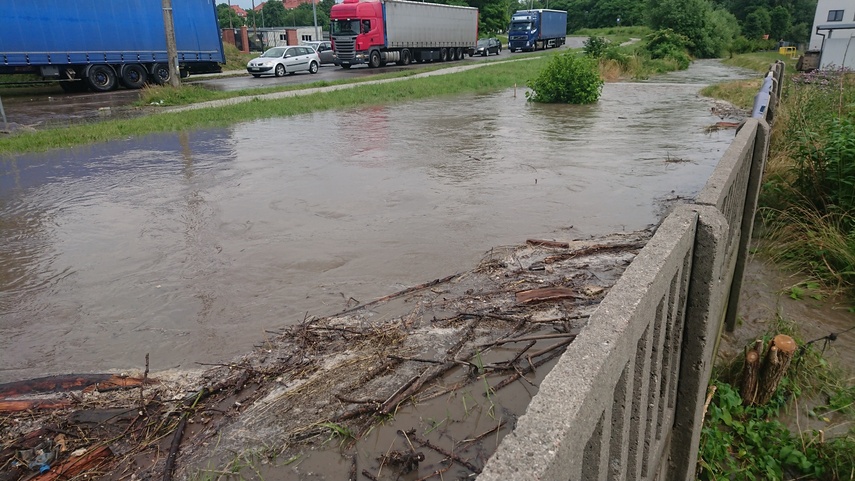 Elbląg Wichry i burze w Elblągu