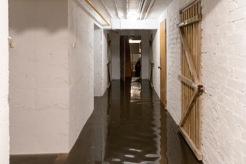  Wichry i burze w Elblągu  zdjęcie nr 264244