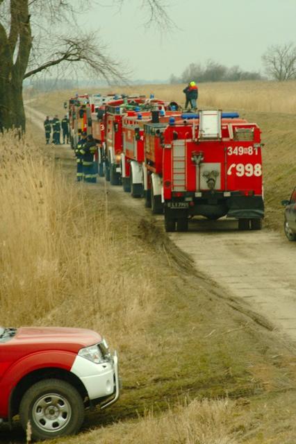Żuławy 2009 zdjęcie nr 21494