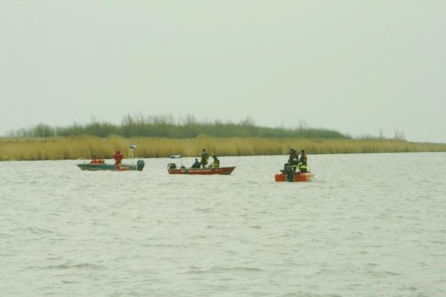 Żuławy 2009 zdjęcie nr 21512