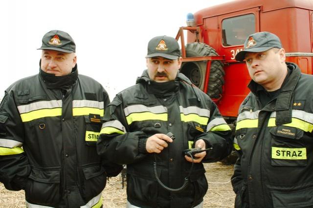 Żuławy 2009 zdjęcie nr 21501