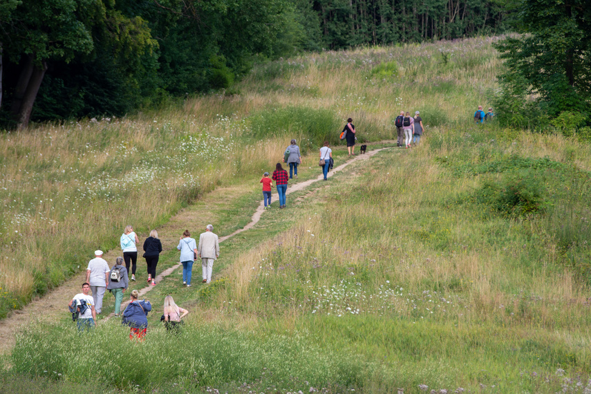  Muzyczne uniesienia 92 m n.p.m. zdjęcie nr 266044