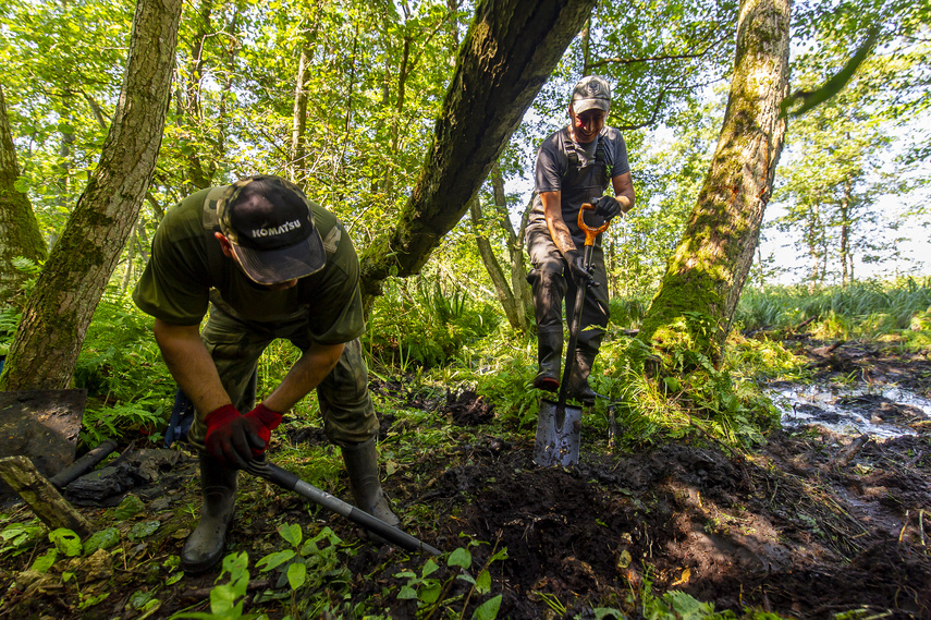 Elbląg Z fromborskich bagien wyłonił się czołg