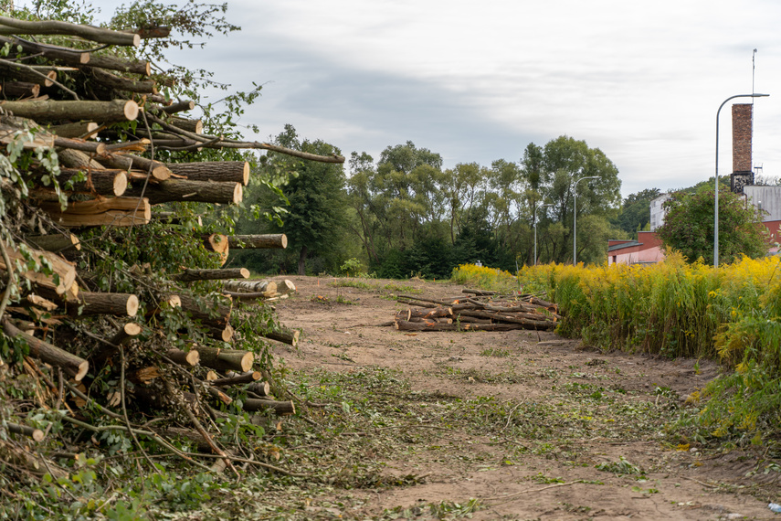 Co słychać na ulicy Wschodniej zdjęcie nr 268859