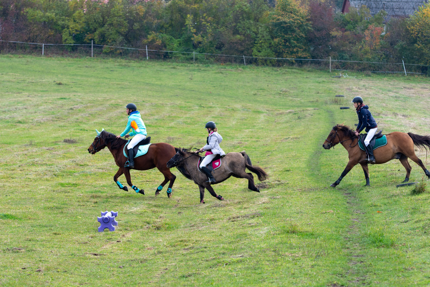 Złapać lisa zdjęcie nr 271436