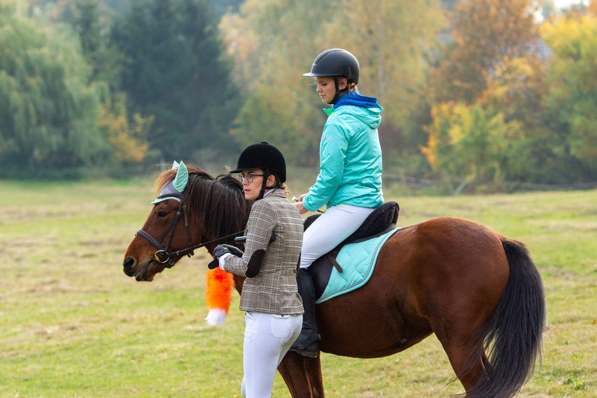 Złapać lisa zdjęcie nr 271429