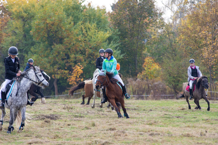 Złapać lisa zdjęcie nr 271437