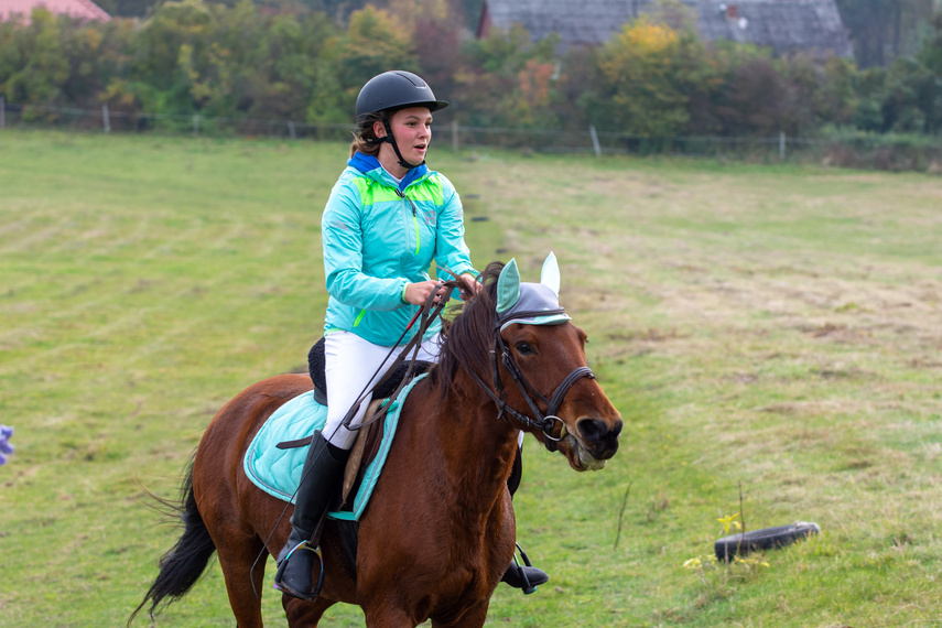 Złapać lisa zdjęcie nr 271438