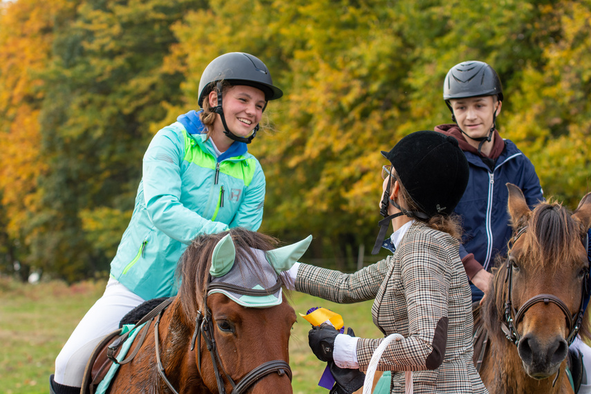 Złapać lisa zdjęcie nr 271448