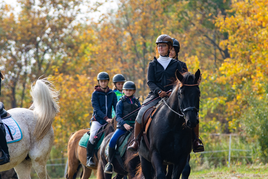 Złapać lisa zdjęcie nr 271423