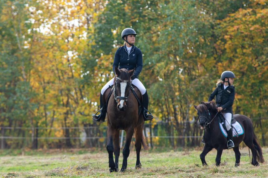 Złapać lisa zdjęcie nr 271428