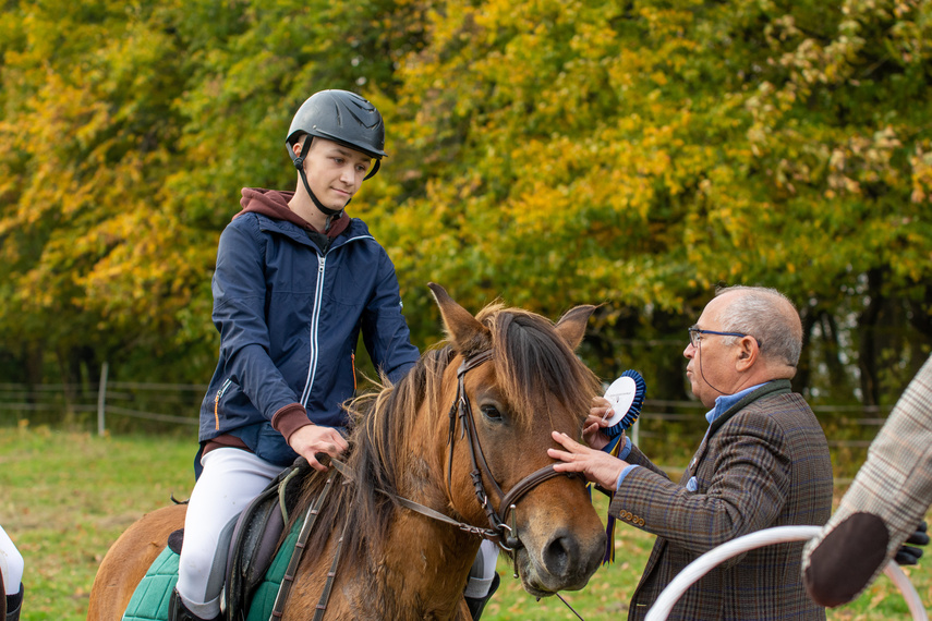 Złapać lisa zdjęcie nr 271447