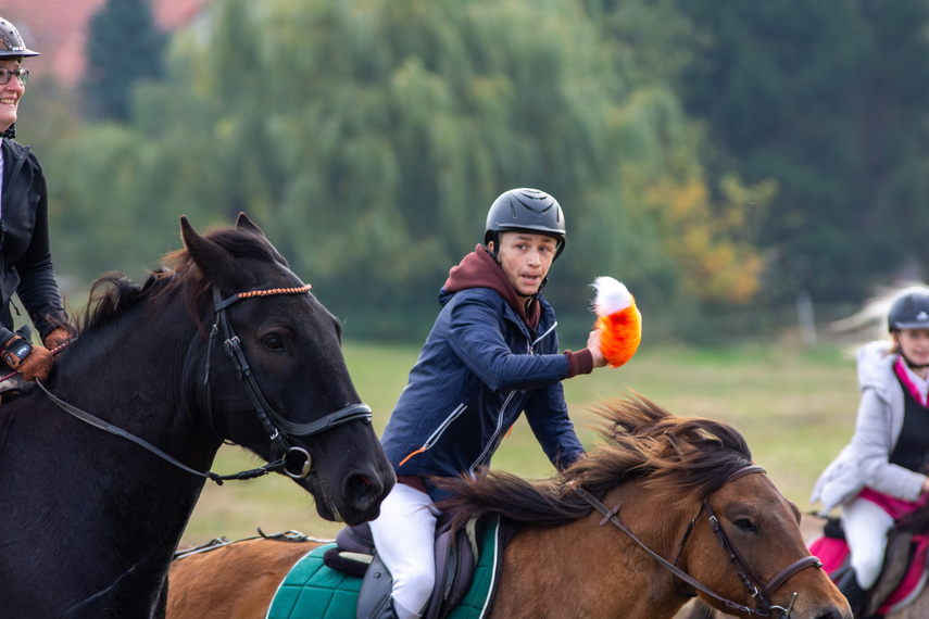 Złapać lisa zdjęcie nr 271443