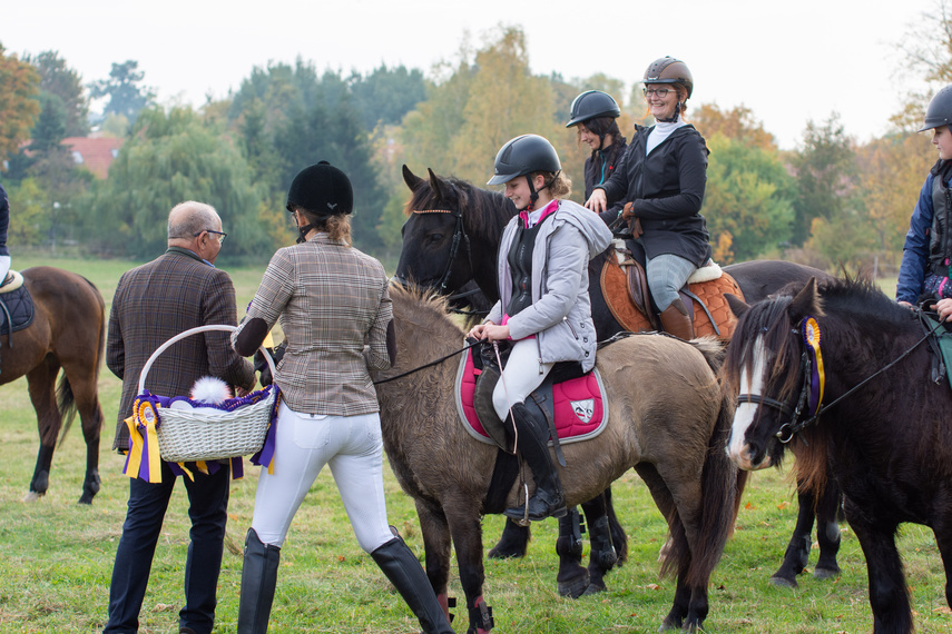 Złapać lisa zdjęcie nr 271450